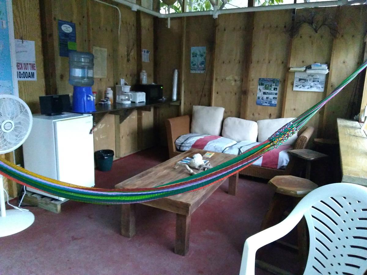 Placencia Hostel ภายนอก รูปภาพ